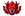 Red DRAGON